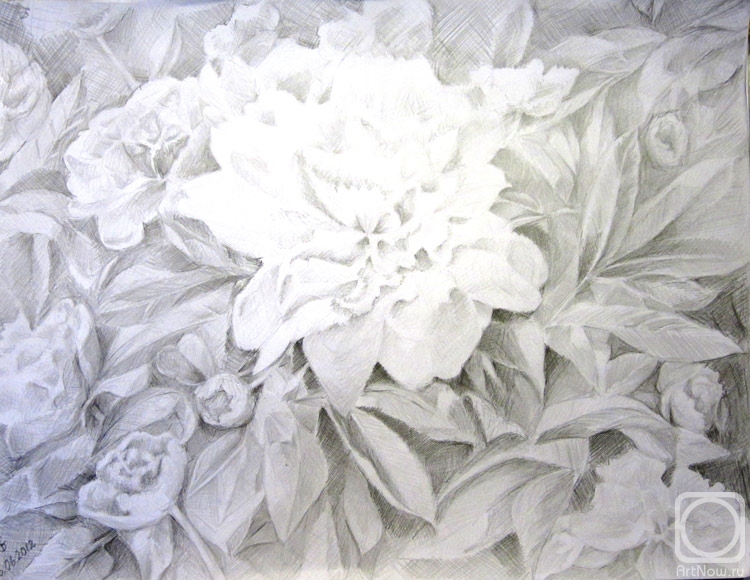 �������. ���������� �����. ����� ����