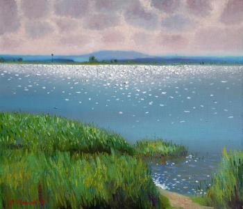 ����� �����. ������� �����