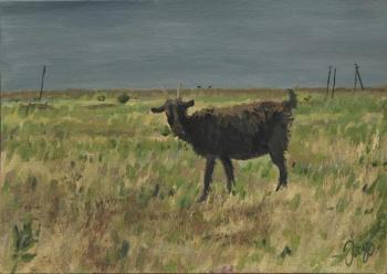 ������� �׸���� ����