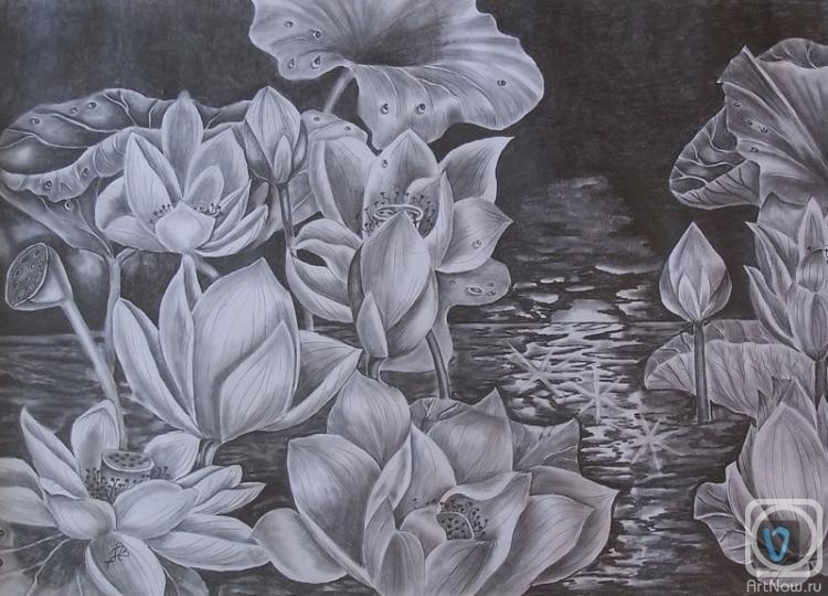 �������. ������� ���������. ������