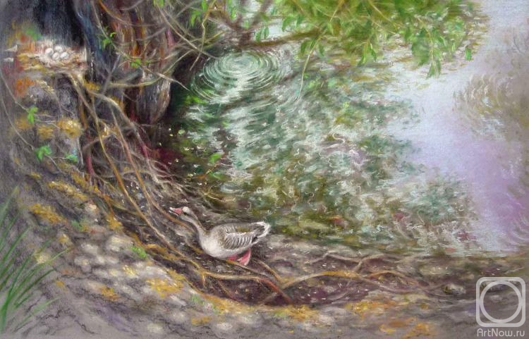 Konyuhova Natalia. Nest