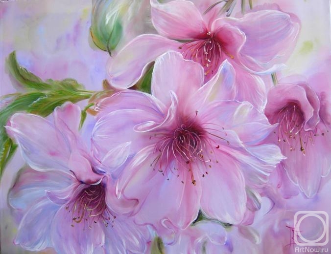 ������ �����. ��������� �����