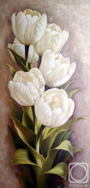 Dzhanilyatti Antonio. White tulips