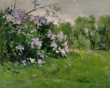 Lilac blooms. Serebrennikova Larisa