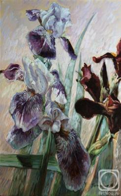 Painting Winter irises. Podgaevskaya Marina