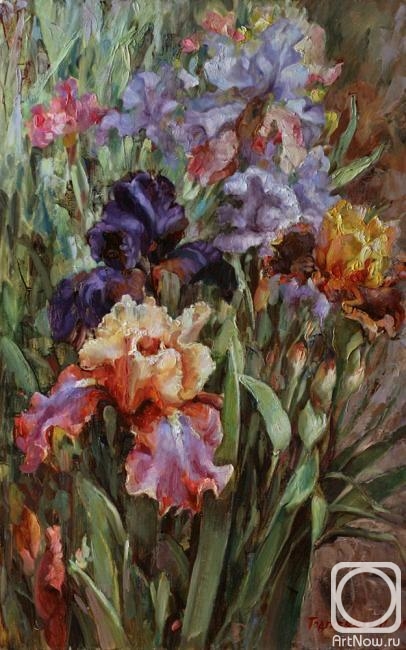 Podgaevskaya Marina. Sunny day. Irises