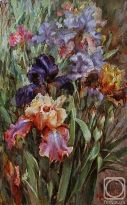 Sunny day. Irises. Podgaevskaya Marina