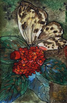 Butterfly on a red flower. Podgaevskaya Marina