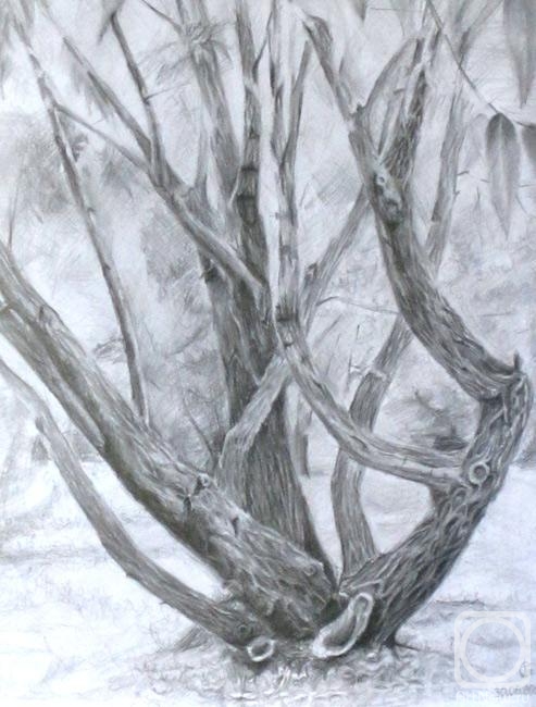 �������. ���������� �����. ������ �����