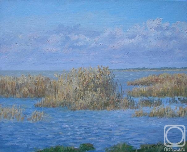 ������� ������ �� ������. ������� ����. �����