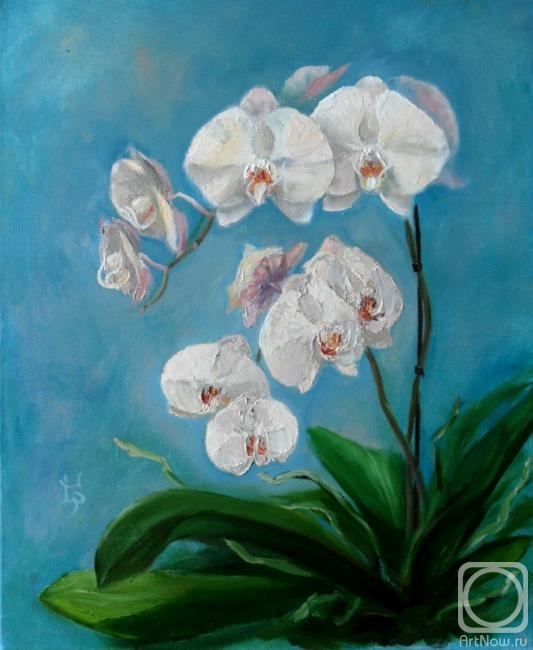 Sergeyeva Irina. Orchids on blue