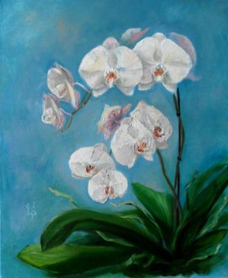 Orchids on blue