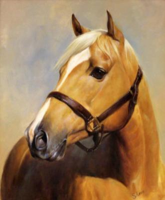 Horse