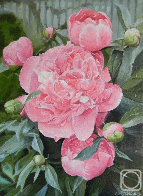 ������� ������ �� ������. ������� ��������. �����