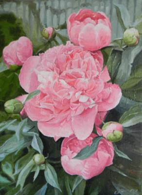 �����. ������� ��������