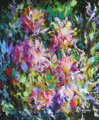 ������� �� ��������-�������� ���������