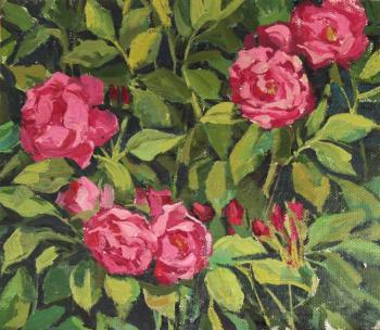 ������� ����� � ����������