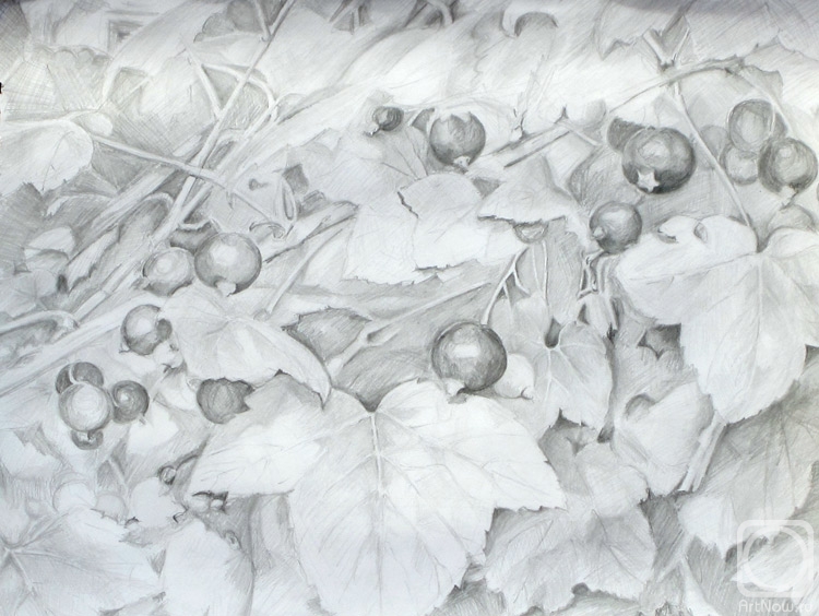 �������. ���������� �����. ���������