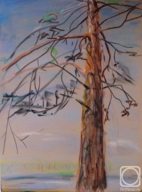 �������. ������ ����. �����