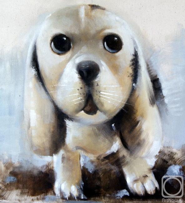 Bruno Tina. Puppy