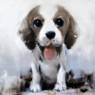Painting Puppy. Bruno Tina