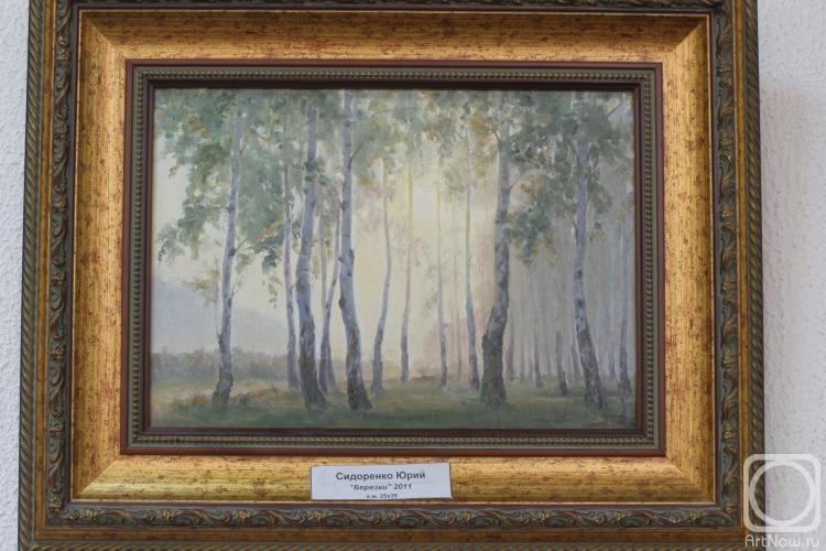 Sidorenko Yuriy. Birches