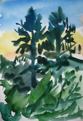 Larch in the evening