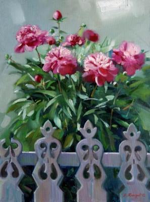 Peonies