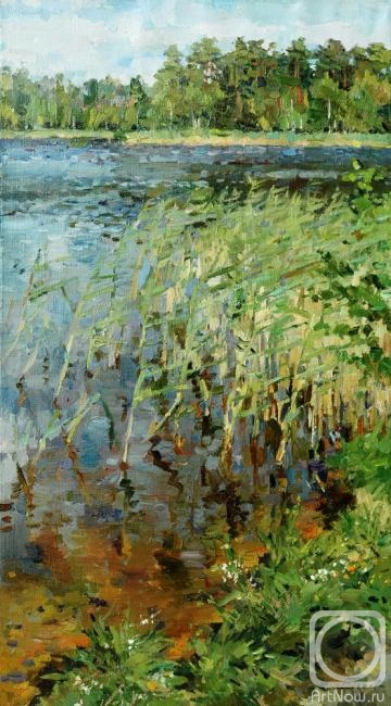 ������� ������ �� ������. ������ �����. ����� �����