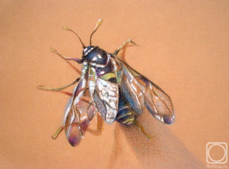 Konyuhova Natalia. Just a fly
