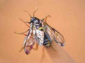 Just a fly. Konyuhova Natalia