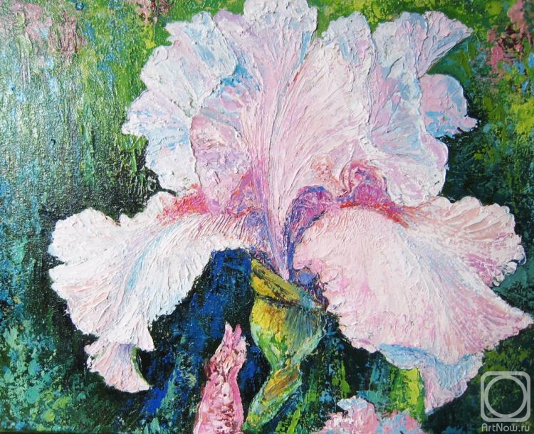 Taran Diana. Iris. Oil. A canvas