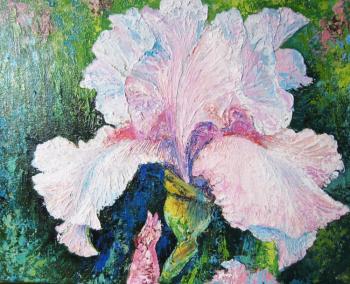 Iris. Oil. A canvas (The Flower Glade). Taran Diana