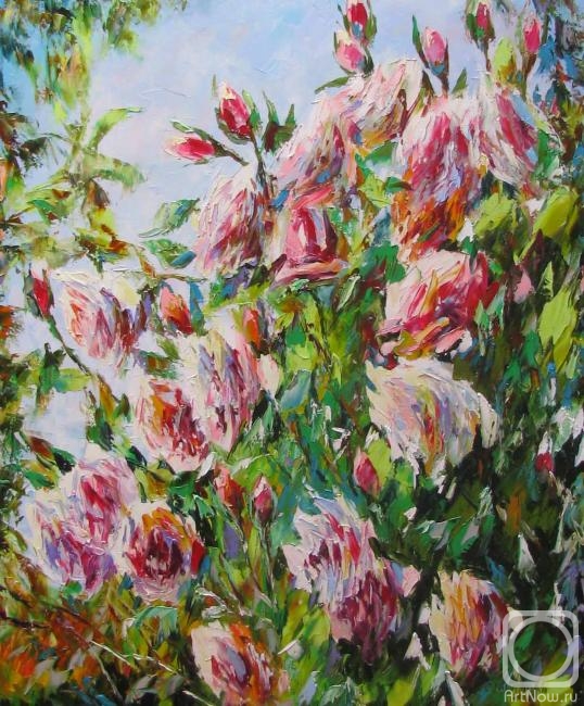 ������� ������ �� ������. �������� ��������. �������� ����