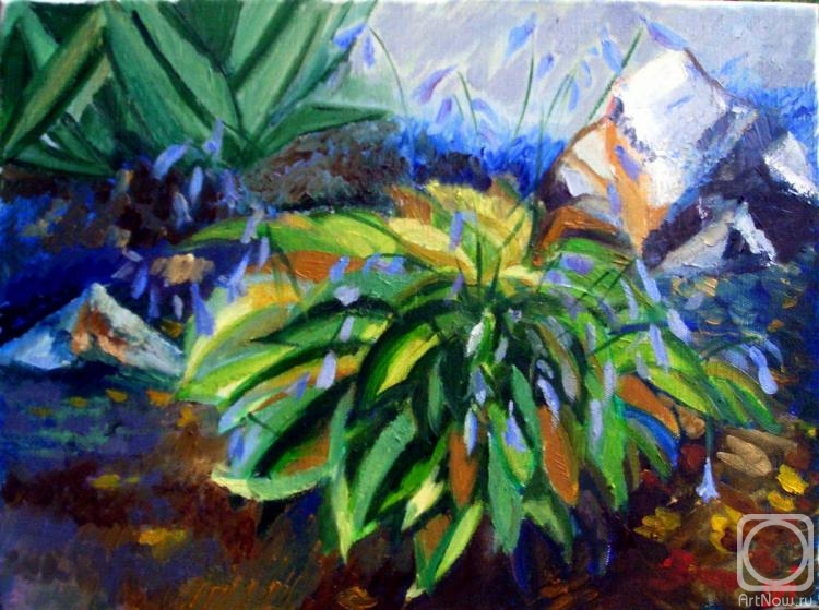 ������� ������ �� ������. ������� ������. ��������