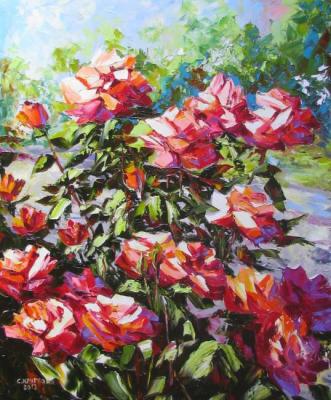 Red roses in the garden. Kruglova Svetlana