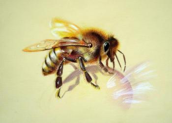 Golden bee