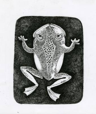 Young toad. Nikitina Vera
