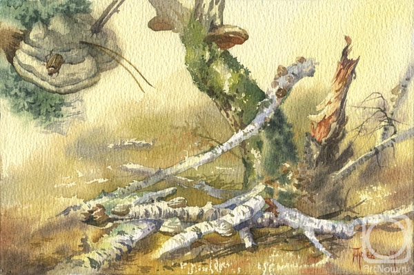 �������. ������� �����. ��������� ��� � ���������� �����