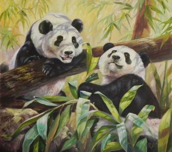 ����-���� ��� � ���. ���������� ����