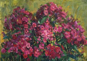 Crimson phloxes (Crimson Flowers). Zhukova Juliya