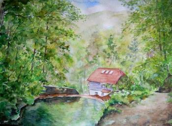 Croatia. Protected lake