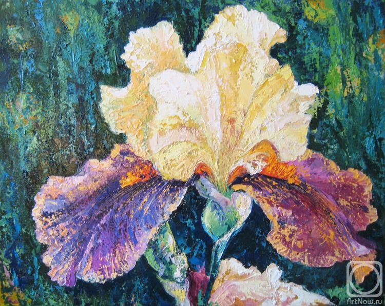 ������� ������ �� ������. ����� �����. ���� �������