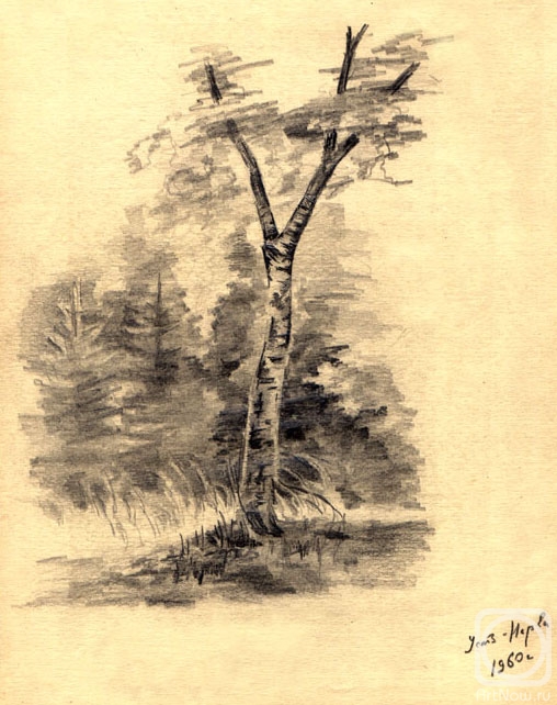 �������. ������� ��������. � ����-����� ������� �����