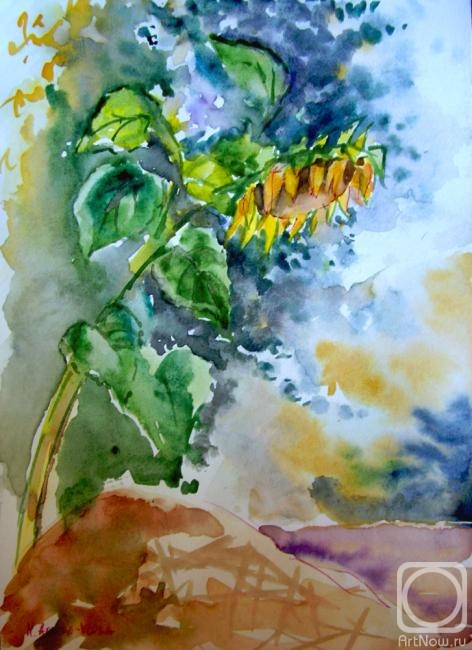 �������. ������-����� �����. �����������