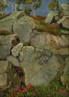 Flowers and stones. Paroshin Vladimir