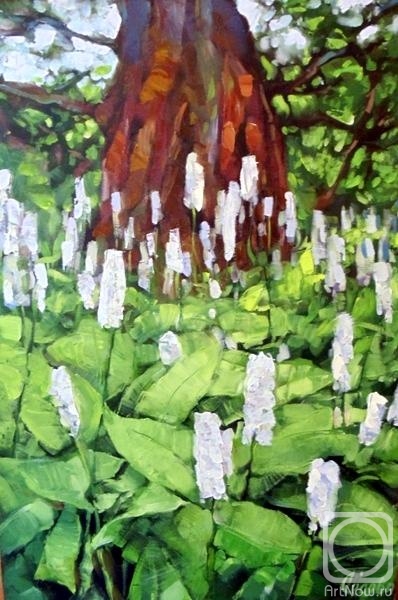 �������. ������ �������. � ������ � ������