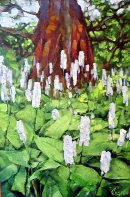 ������� �� ������ � ������...�