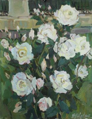 Evening roses. Zhukova Juliya