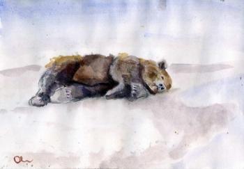 Bear sleeping at the sea. Sorokina Lelia